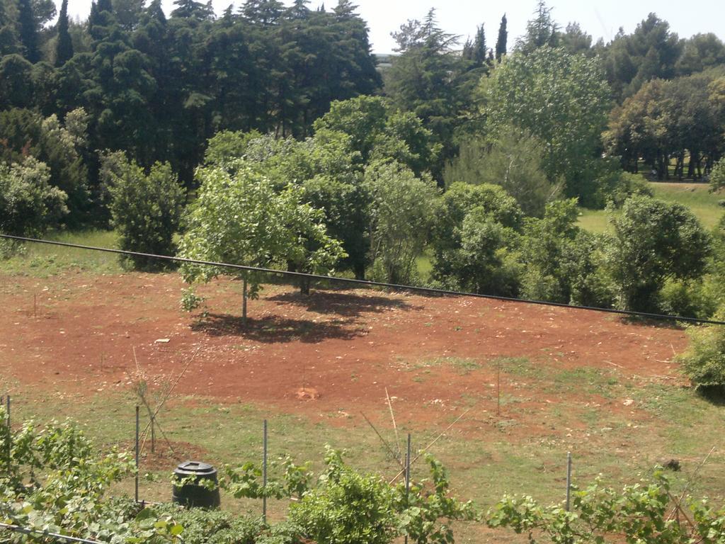 Apartma Lino
