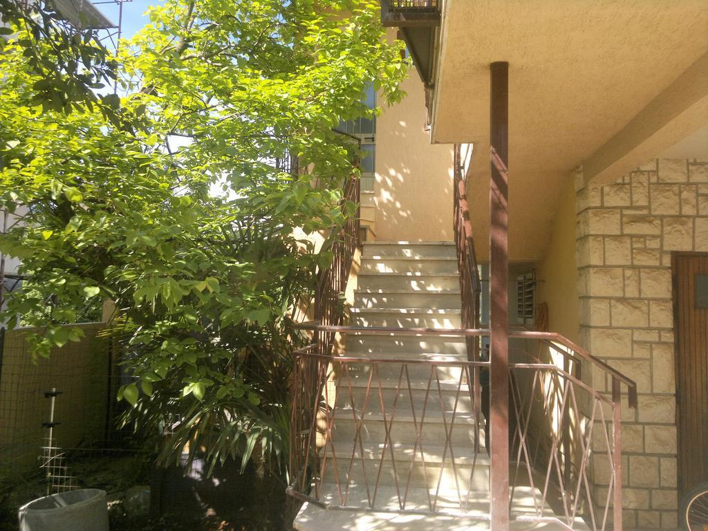Apartma Lino *